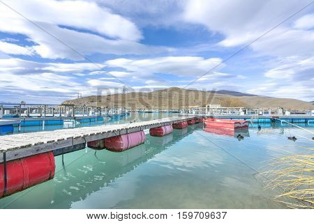 Salmon Fish farm floating on the glacial waters of Wairepo Arm Twizel South Island New Zealand