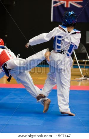 Taekwondo