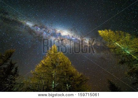 Milky way at Glentanner campsite, New Zealand