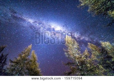 Milky way at Glentanner campsite, New Zealand