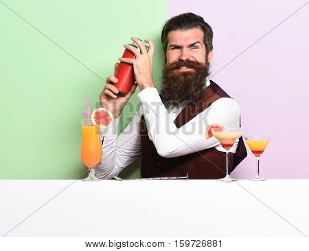 Funny Handsome Bearded Barman