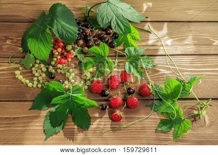 berry green leaf green table currantshealthy heap ingredient juicy