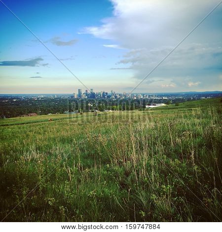 Summer field landscape with Calgary downtown buildings, bright blue sky and big grey cloud over horizon in background. Lush green summer field, hills and trees in foreground.