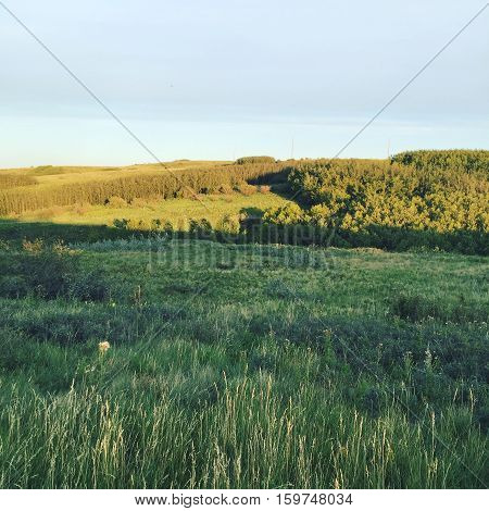 Landscape with lush vegetation and sunshine on hills in autumn. Grey clouds and light blue sky over sunset orange colored hills in background. Thick forest trees and lush green grass.Hills and valley.