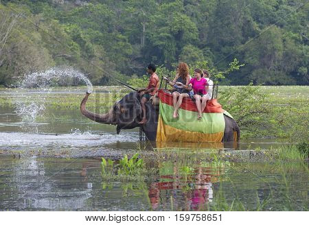 SIGIRIYA, SRI LANKA - MARCH 16, 2015: Elephant with a group of tourists let trunk fountain on the overgrown pond. The tourist landmark of the Sri Lanka