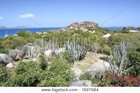 Caribien Se i Virgin Gorda