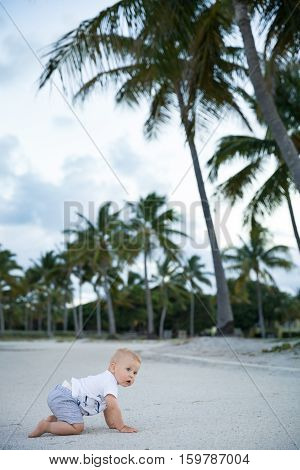 Adorable toddlerboy crawling in a tropic park. Cute little boy learning to walk outside on the sandy ocean beach. Small child near palms.