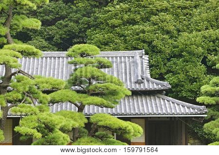 Japan, Tokyo, Tokyo Imperial Palace, Rooftop of Otemon (East Gate) seen through trees