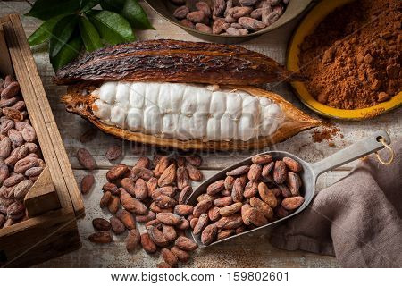 Cocoa beans and cocoa pod with cocoa powder on a wooden surface.