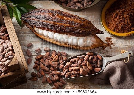 Cocoa beans and cocoa pod with cocoa powder on a wooden surface.