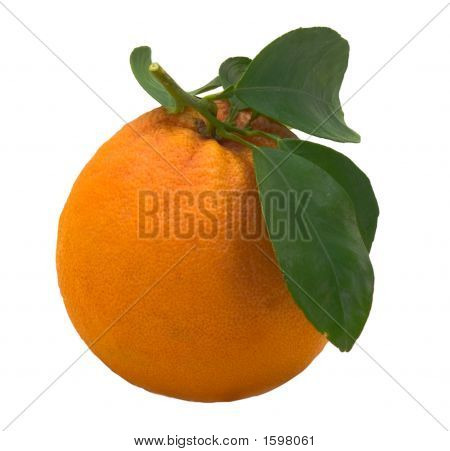 Grapefrugt