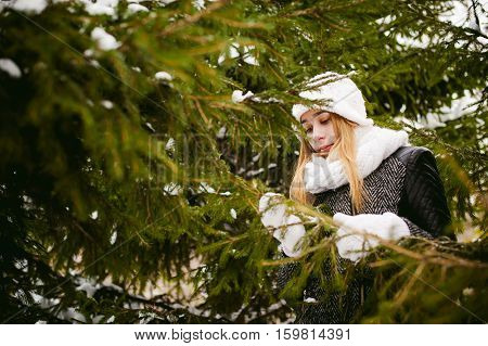 Young Woman In A Forest With Fir And Pine Trees On The Street, Hands Touch The Branches Of Trees, Co