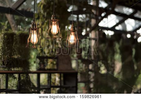 beautiful Light bulb incandescent hanging decorated interior roomselective focus.