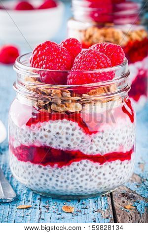 Chia Pudding With Raspberry Sauce, Granola And Fresh Raspberries