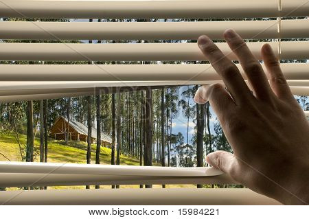 beautiful scene through window blinds