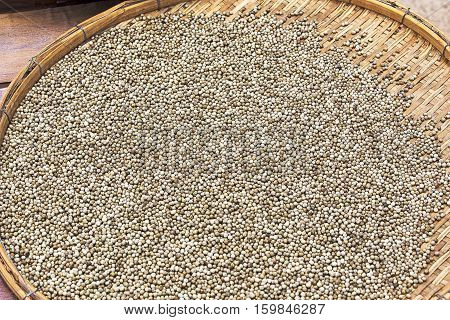 various Kampot pepper background drying in Cambodia