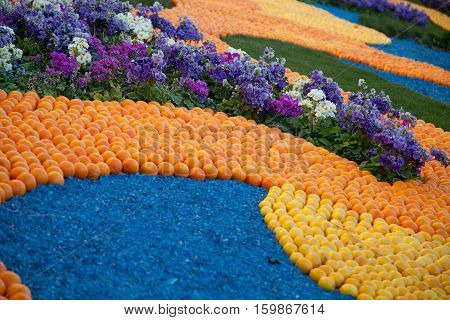 Lemon Festival in Menton, a pattern of lemons and oranges on a lawn