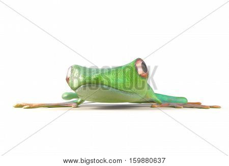 red eyed tree frog from tropical rainforest of Costa Rica isolated on white. Beautiful green and blue treefrog is an exotic animal from the rain forest. 3d render