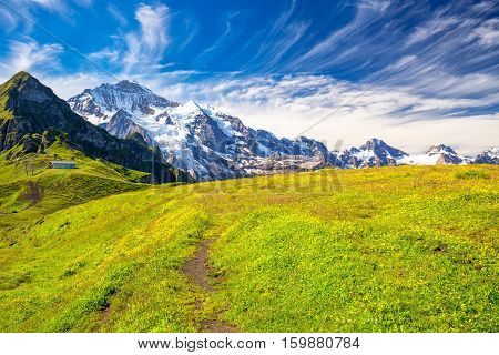 Panorama View To Grindelwald From Mannlichen