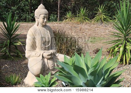 Buddha
