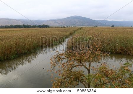 Hula Nature Reserve - a unique wildlife area, which is home to many animals, birds and fish.