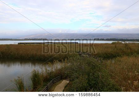 Hula Nature Reserve - a unique wildlife area, which is home to many animals, birds and fish.