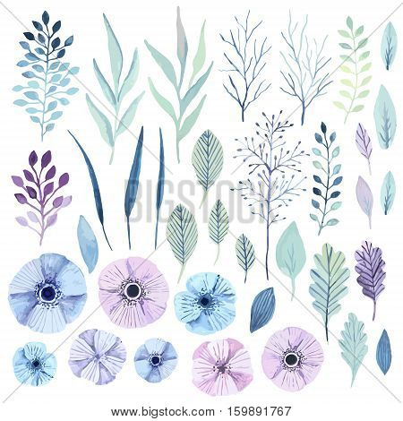 Vector flower wreath. Elegant floral elements. Cute pastel plants. Watercolor effect.