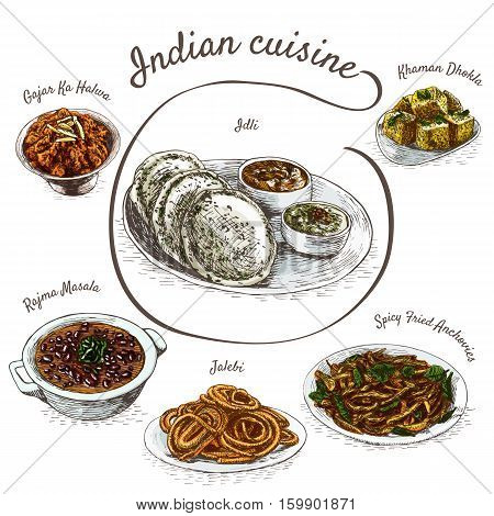 Menu of Indian colorful illustration. Vector illustration of indian cuisine.