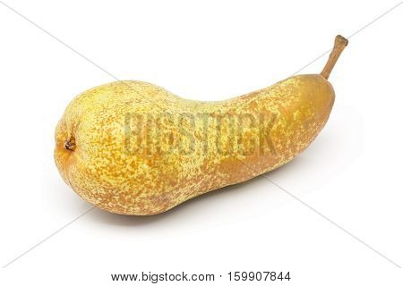 Single whole uncut 