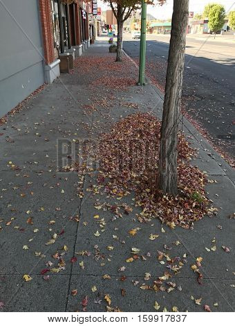 A sidewalk in downtown Prineville in Central Oregon covered with fallen leaves on a fall afternoon.