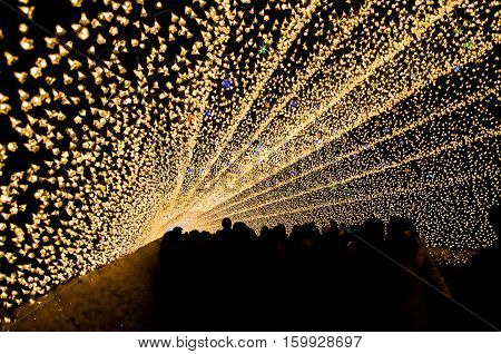 The tunnel of light in Nabana no Sato garden at night in winter Nagano Japan