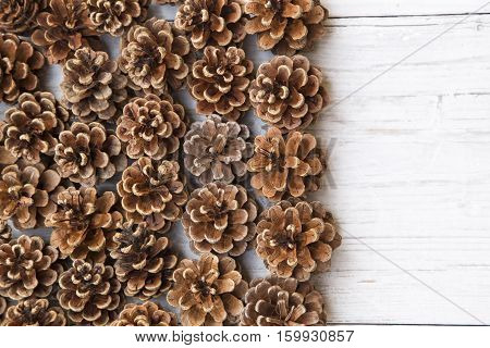 Pine cones on a white wooden background
