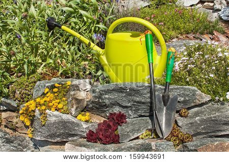 Plastic garden watering can on a blooming rockery. Gardening tools. Ornamental garden.