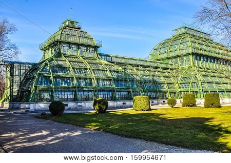 Hdr Palmenhaus Schoenbrunn In Wien