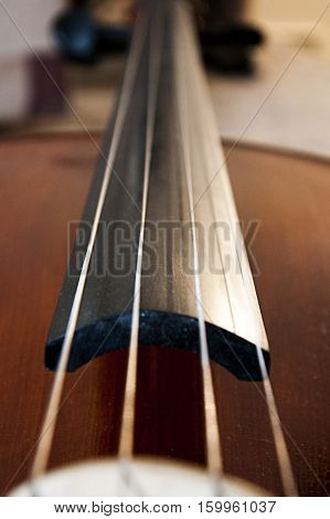 The string of cello. Close up shot of cello music instrument. Classic music. Playing. Art.