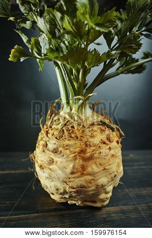 Celery root - celeriac fresh healthy vegetable with green shoots