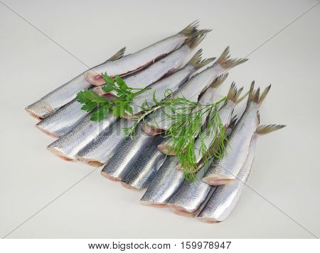 fresh fish herring with lemon on a plate terracotta