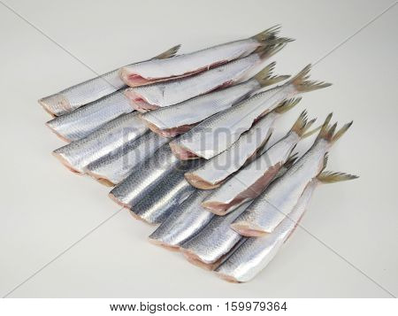 fresh fish herring with lemon on a plate terracotta