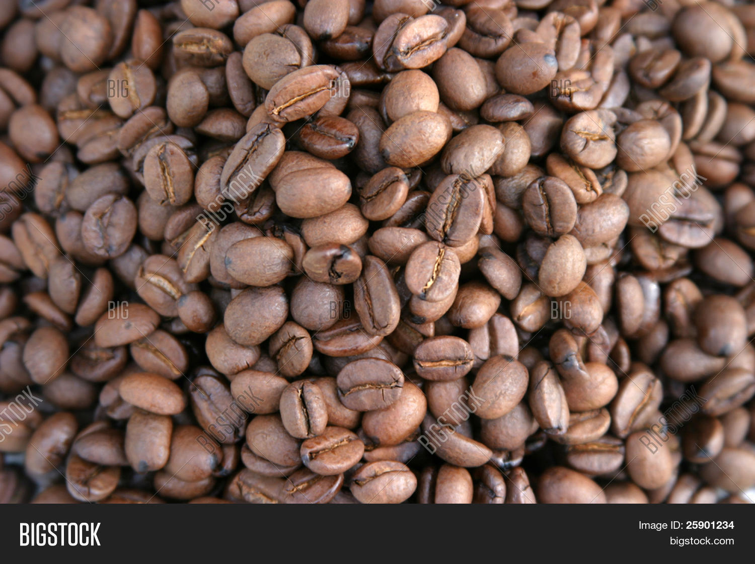 Unground Coffee Beans Image & Photo (Free Trial) Bigstock