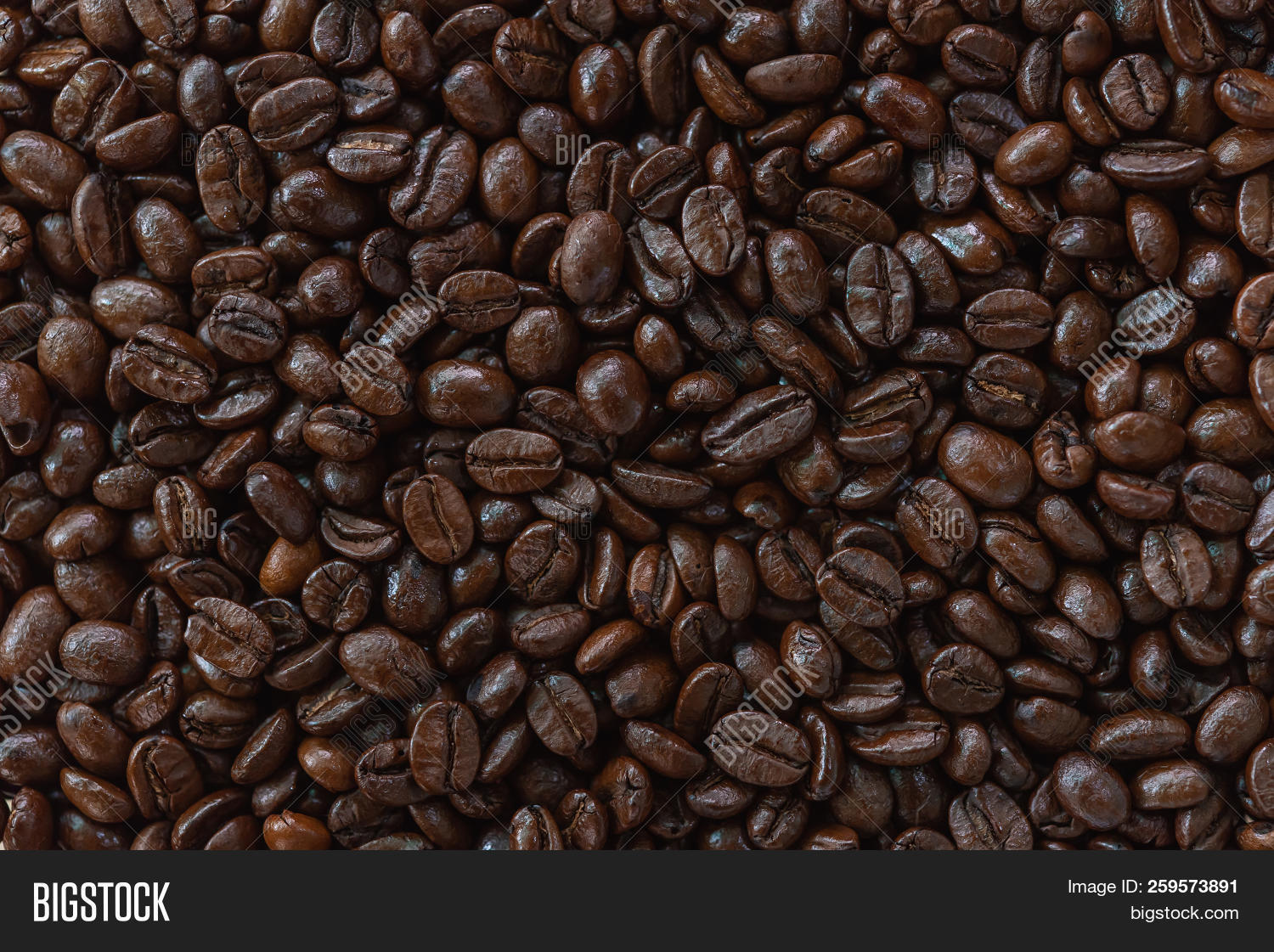 Best Roast Coffee Bean Image & Photo (Free Trial) Bigstock