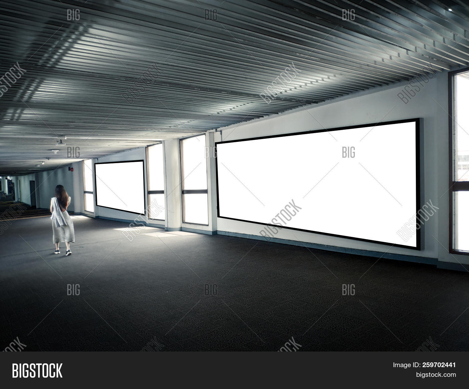 Blank Poster Display Image & Photo (Free Trial) Bigstock