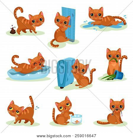 Naughty Kitten In Different Situations, Mischievous Cute Little Cat Vector Illustrations On A White 