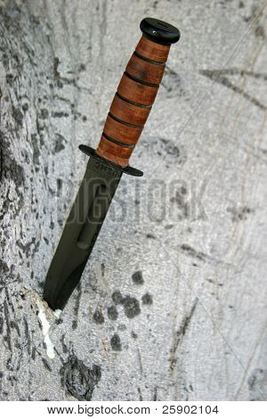 kniv i en træ