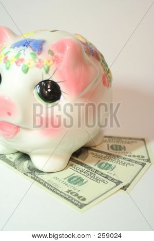 Piggy avec Dollars