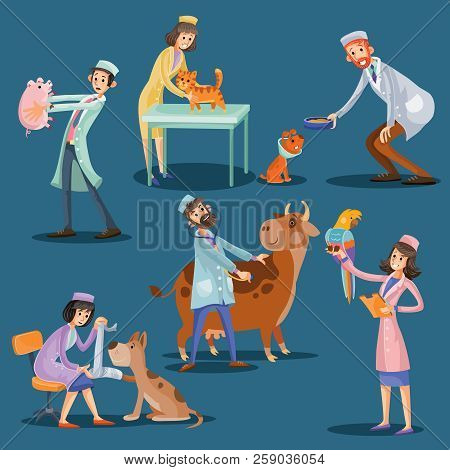 Professional Veterinarians Check Health And Take Care Of Cute Pets Dog, Puppy, Cat, Pig, Cow, Parrot