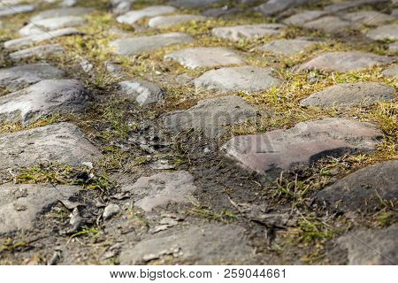 Detail Of The Famous Cobbelstone Road Located In The Forest Of Arenberg In North Of France. On Such 