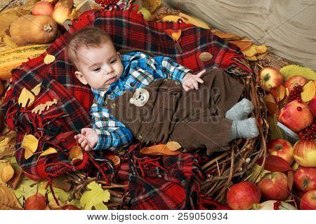 autumn concept - child boy lie on yellow leaves with fruits and vegatbles, red apples and pumpkins
