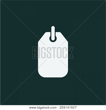 Tag Flat Vector Icon. Label Flat Vector Cion