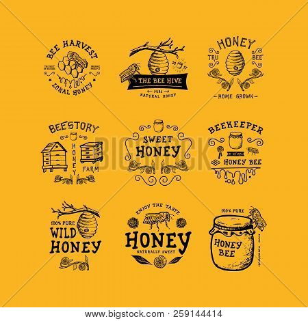 Set Of Badge Honey. Hand Drawn Bee, Flower, Hive, Glass Jar. Label Logo Template. Design Fashion App