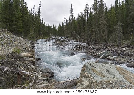 Altai Mountains. The Shawla River Above The Estuary Of The Yeshtykol River. August. Siberia, Russia.